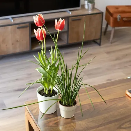 Lucasland Apartment Barcelona